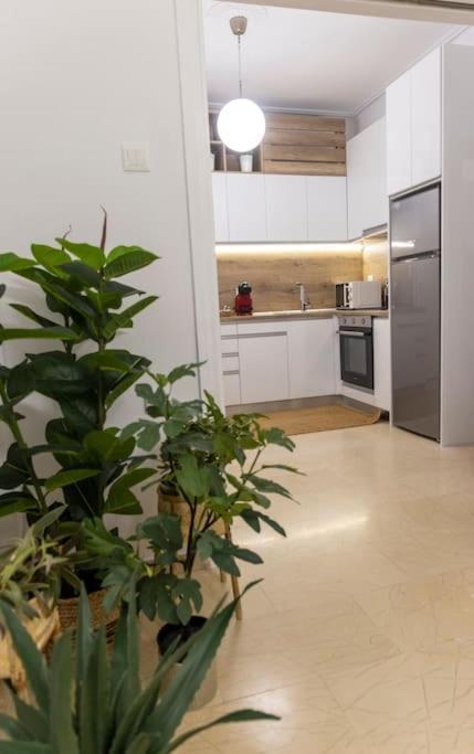 Ophelia Apartment Trikala (Thessaly)